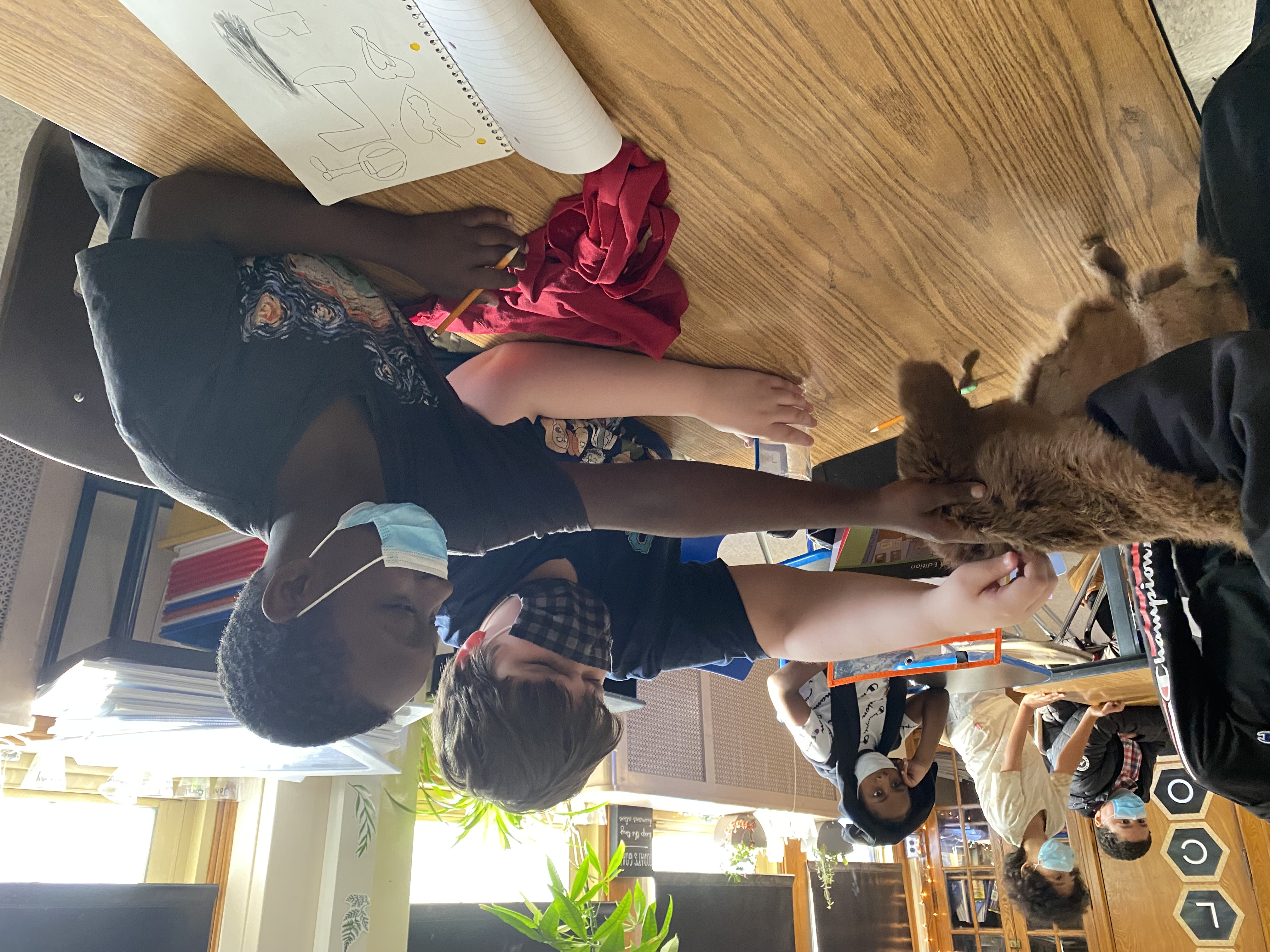 This is a photo of two boys reaching to touch an animal skin, held by a science teacher.