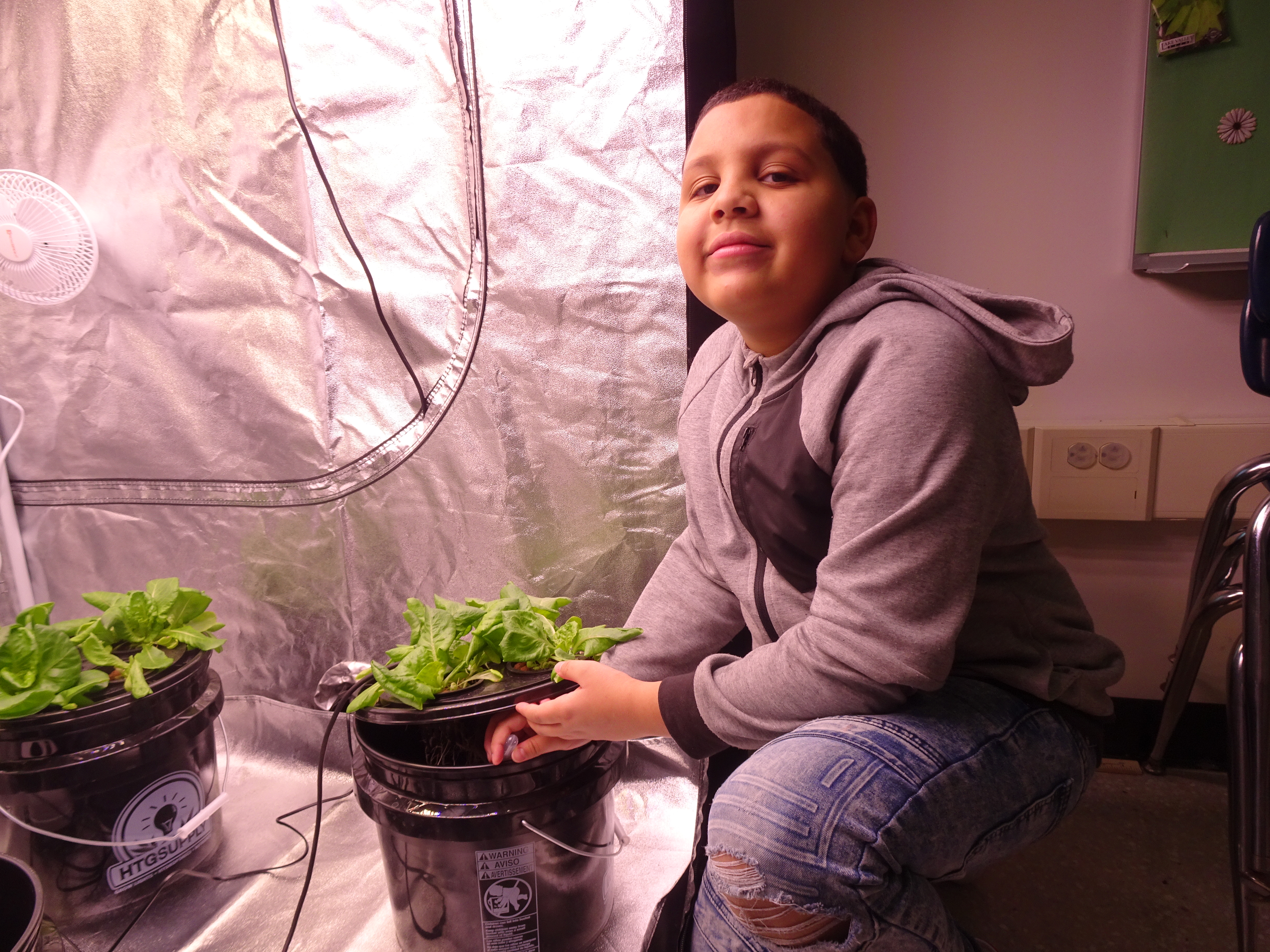 This is a photo of a STEAM @ Dr. King student standing next to a plant in a hydroponic tent, checking the water.