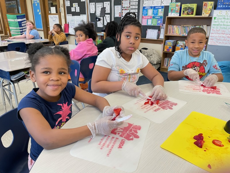 This is a photo of three Meachem students cutting strawberries and smiling at the camera.