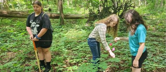 Nottingham Students Become Environmental Experts through Hands-On Exploration