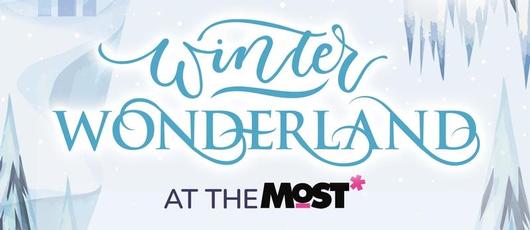 Join Us for a Winter Wonderland Event!